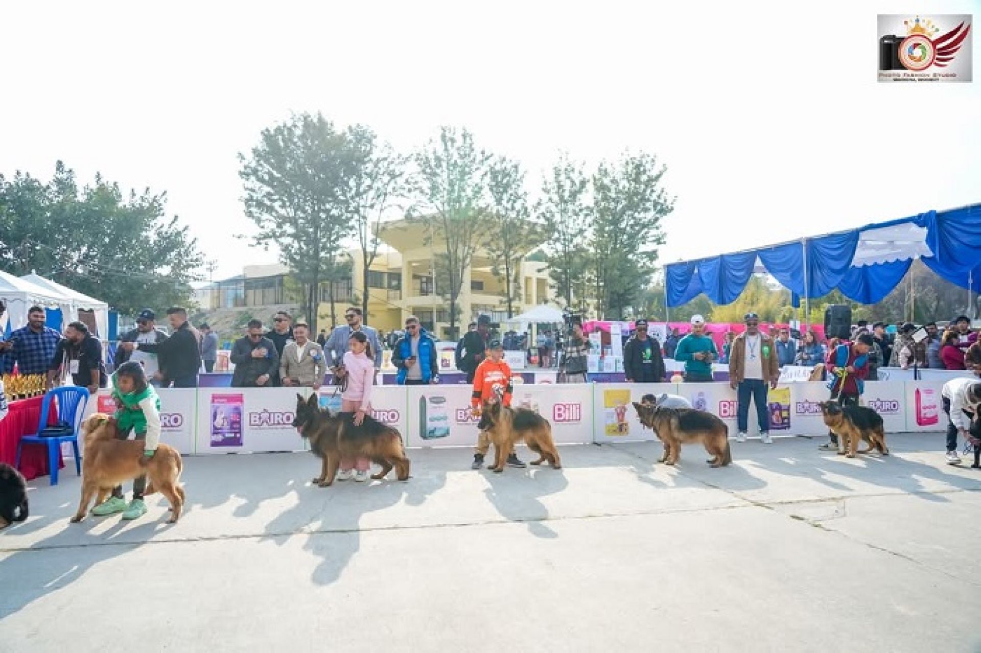 केनेल क्लबको आयोजनामा तेस्रो ‘बाइरो ब्रिड च्याम्पियनसिप डग शो’ माघ ५ मा हुने